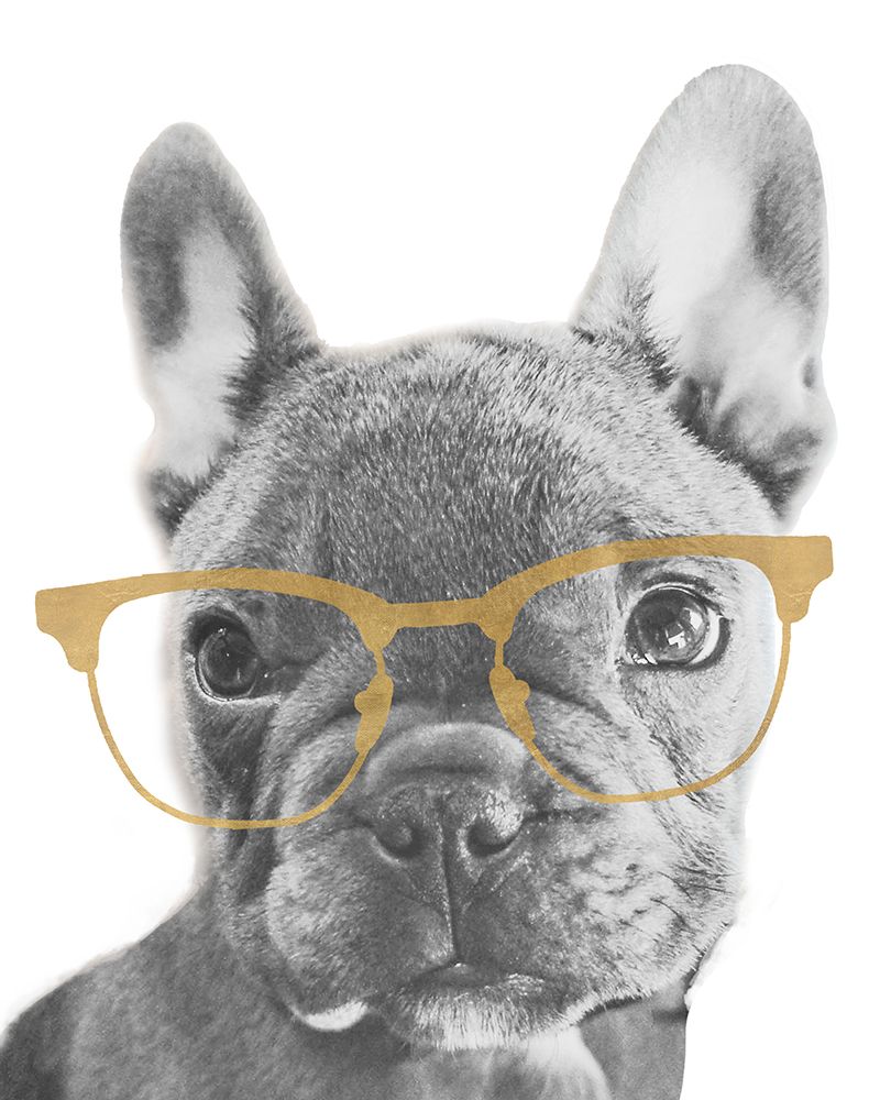 Frenchie Gold Glasses art print by SD Graphics Studio for $57.95 CAD