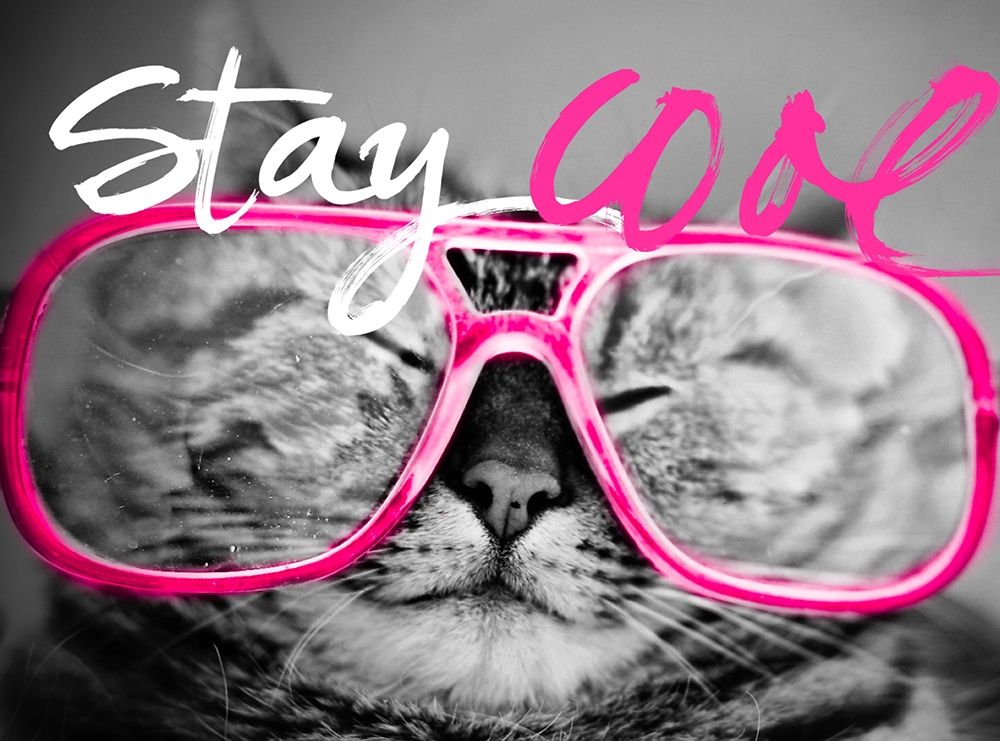 Stay Cool Cat art print by SD Graphics Studio for $57.95 CAD