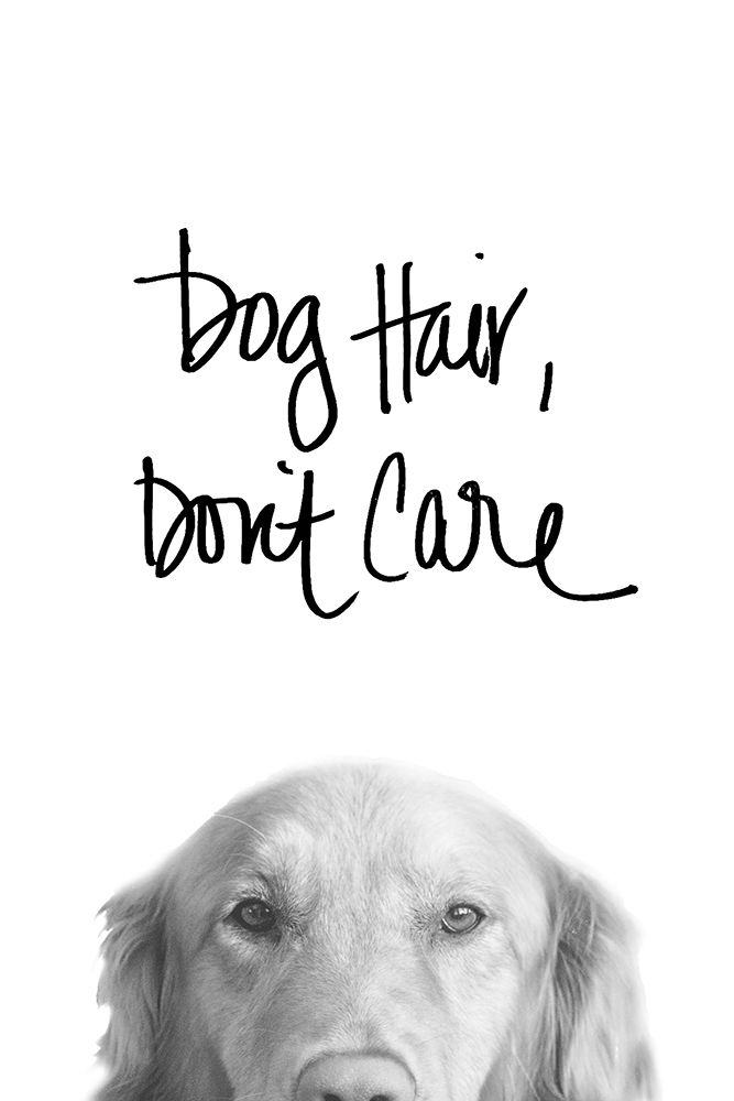 Dog Hair Dont Care art print by SD Graphics Studio for $57.95 CAD