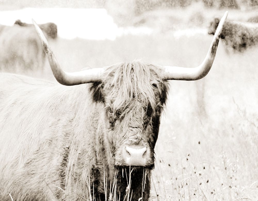 Sepia Bull Portrait art print by SD Graphics Studio for $57.95 CAD