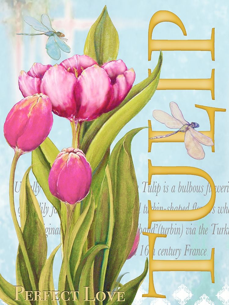 Elegant Tulip II art print by Diannart for $57.95 CAD