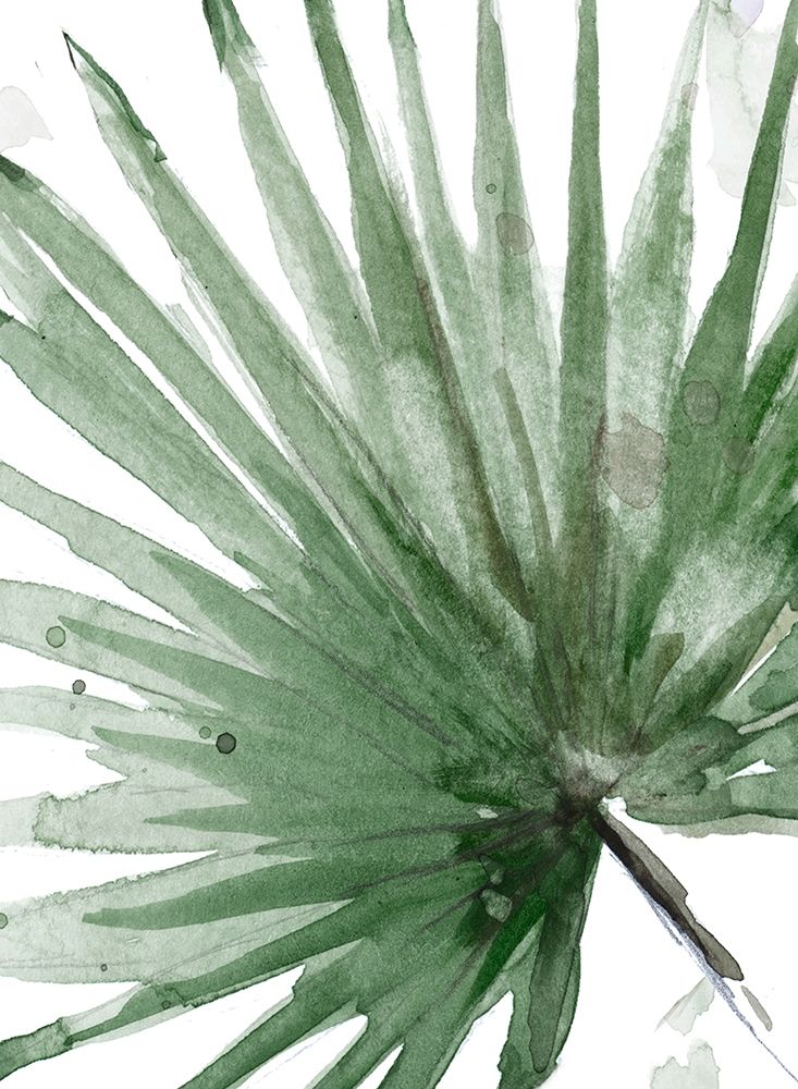Palma Verde Close Up art print by Patricia Pinto for $57.95 CAD