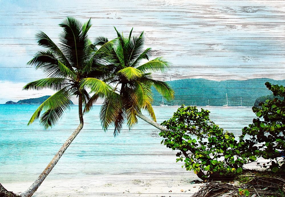 Hanging Palms on Wood art print by Kathy Mansfield for $57.95 CAD