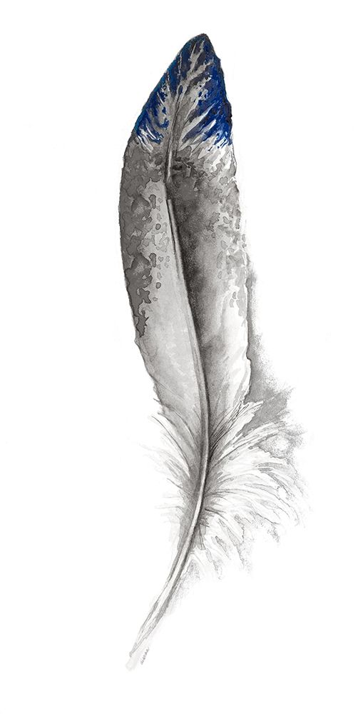 Royal Blue Tip Feather I art print by Diannart for $57.95 CAD