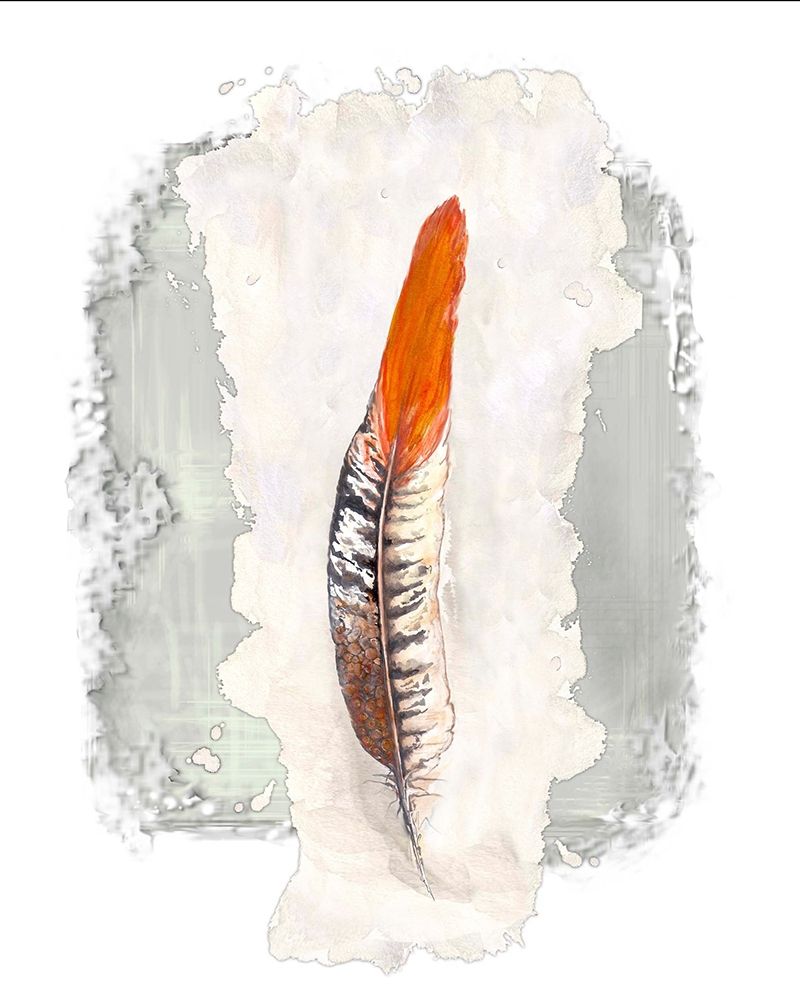 Simple Feather II art print by Diannart for $57.95 CAD