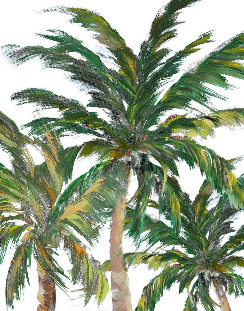 Tropical Trees on White III art print by Julie DeRice for $57.95 CAD