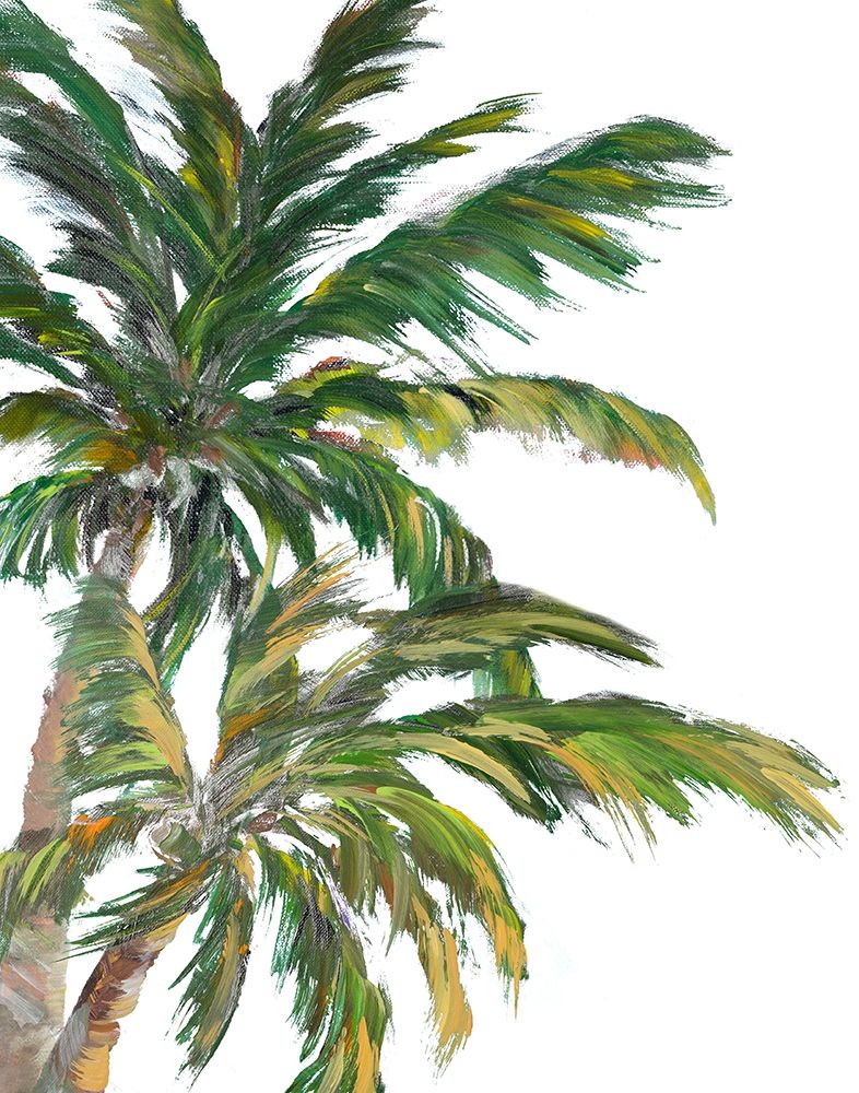 Tropical Trees on White I art print by Julie DeRice for $57.95 CAD