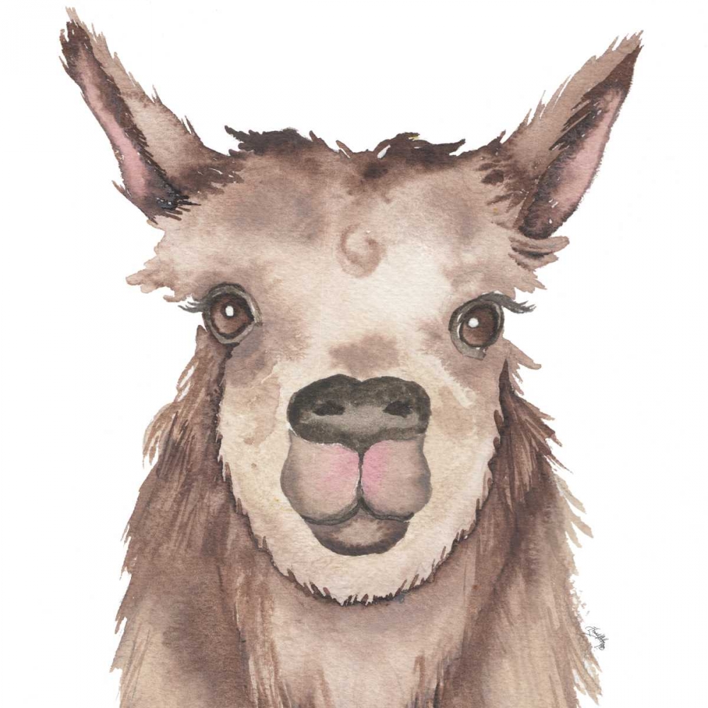 Llama art print by Elizabeth Medley for $57.95 CAD