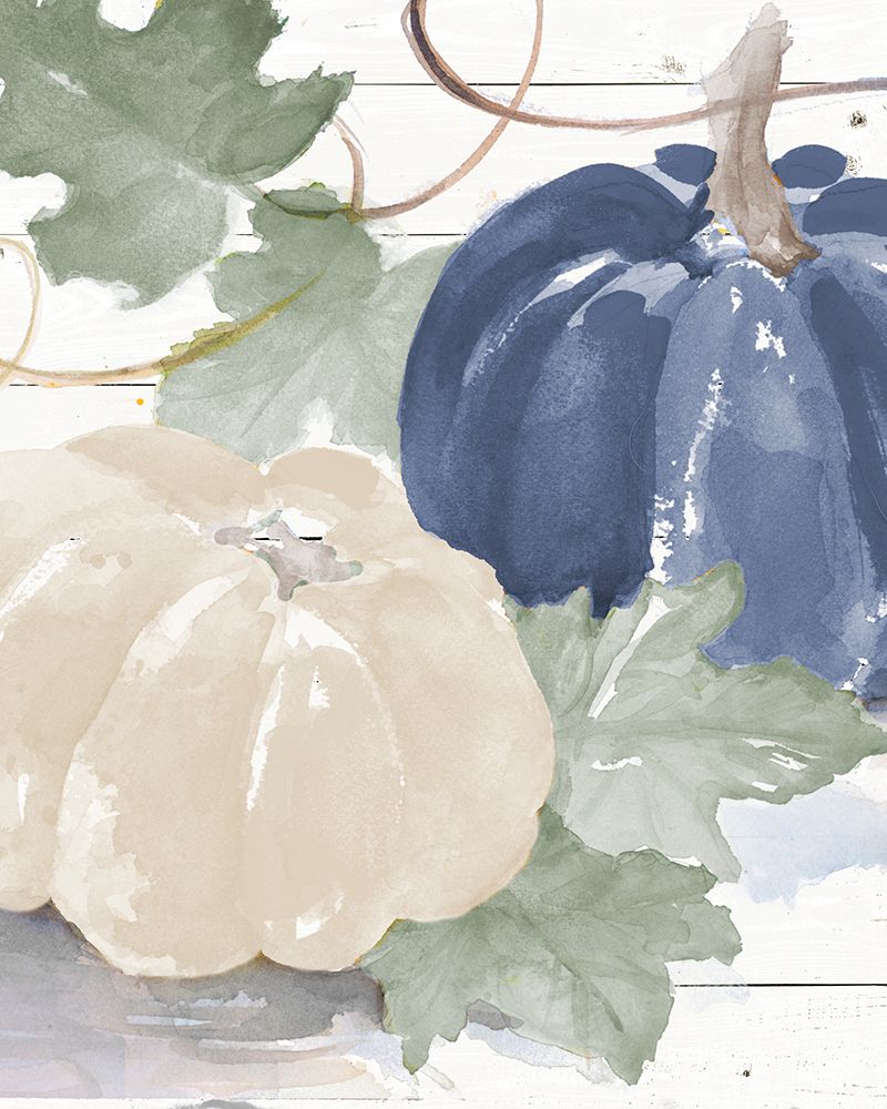 Blue And White Pumpkins art print by Lanie Loreth for $57.95 CAD