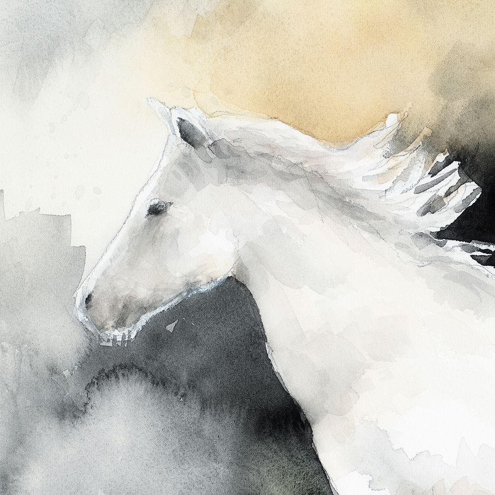 Single Horse Close Up art print by Lanie Loreth for $57.95 CAD
