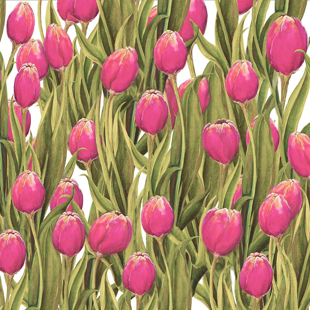 Tulip Symphony II art print by Diannart for $57.95 CAD