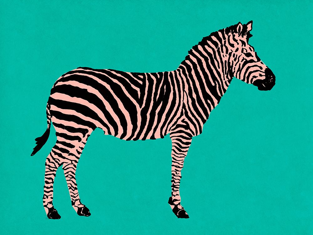 Zebra on Teal art print by Patricia Pinto for $57.95 CAD