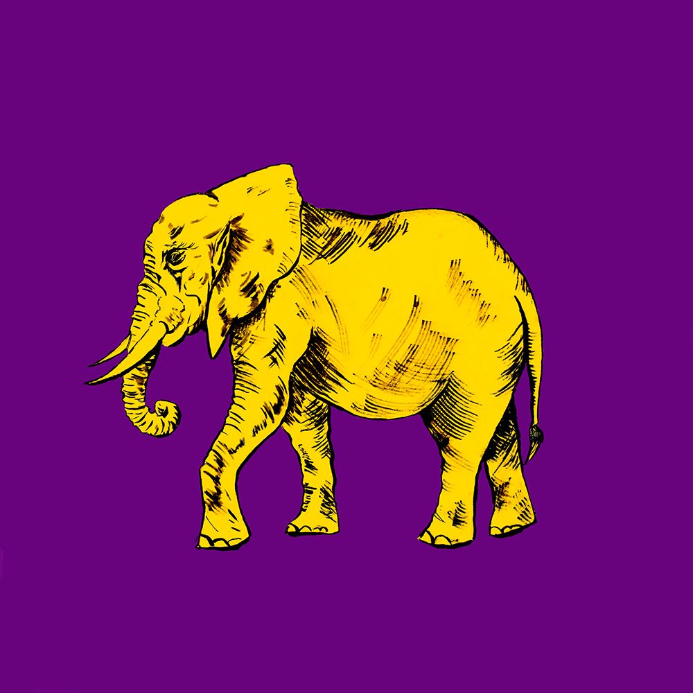 Elephant on Purple art print by Patricia Pinto for $57.95 CAD