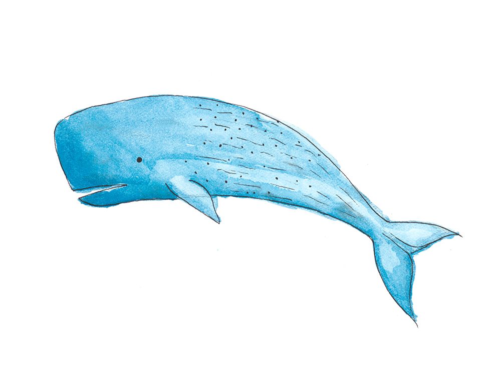 Great Blue Whale art print by SD Graphics Studio for $57.95 CAD