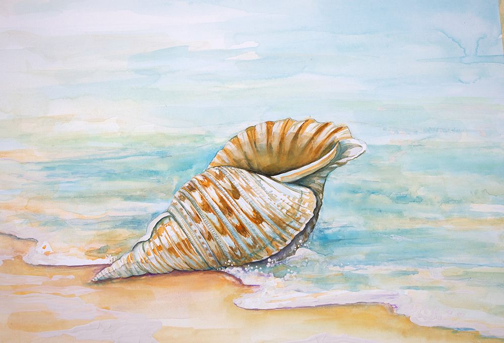 Queen Conch art print by Diannart for $57.95 CAD