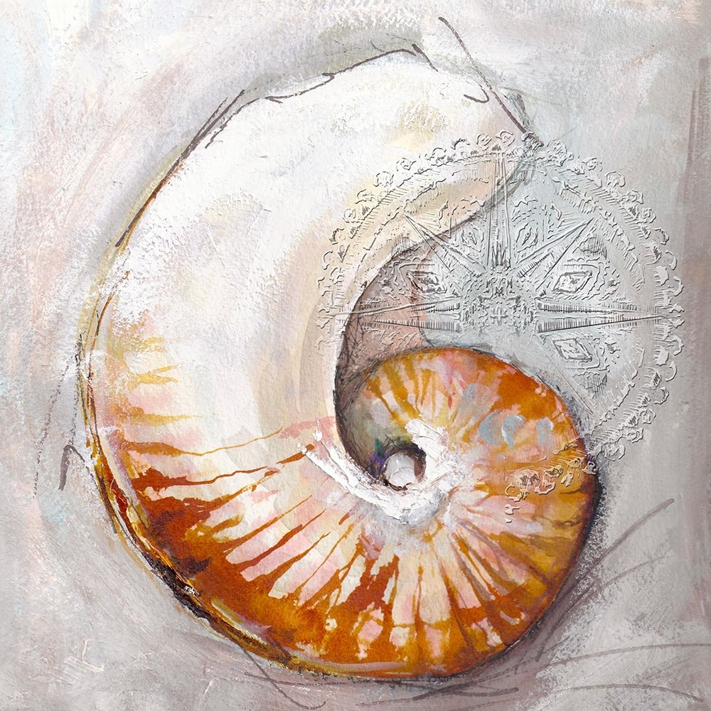 Pearl Shell Medley I art print by Diannart for $57.95 CAD