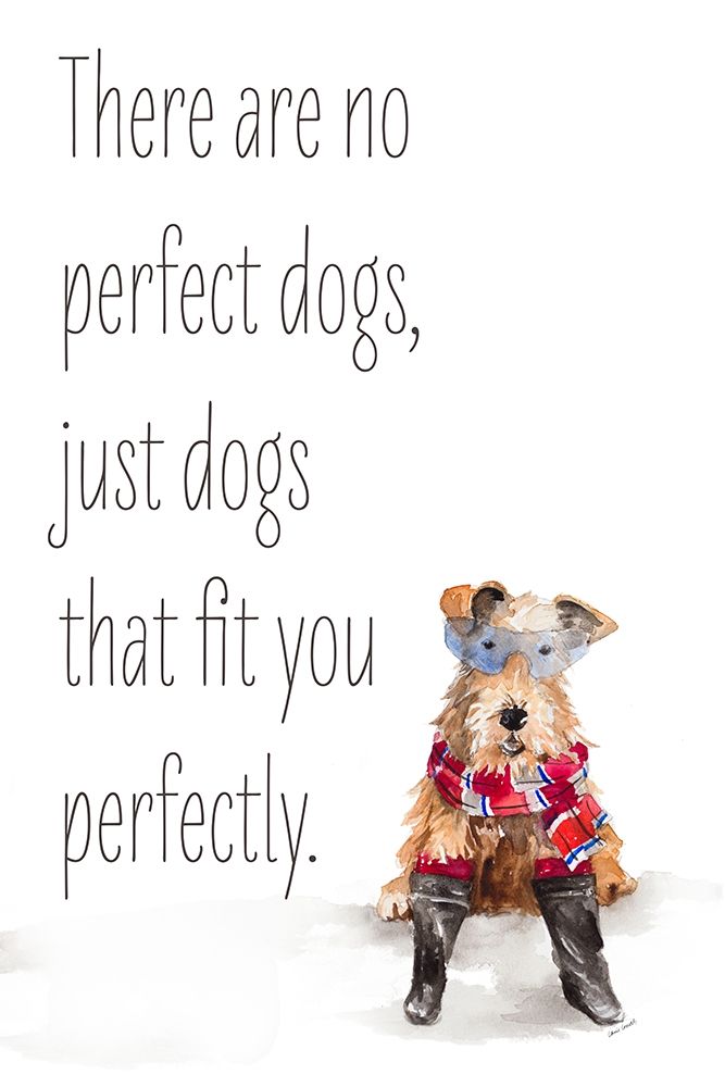 No Perfect Dogs art print by Lanie Loreth for $57.95 CAD