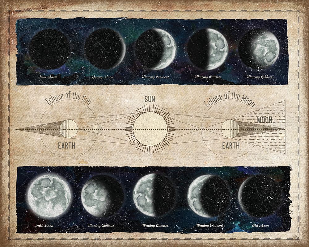Moon Phases and Eclipses art print by Elizabeth Medley for $57.95 CAD