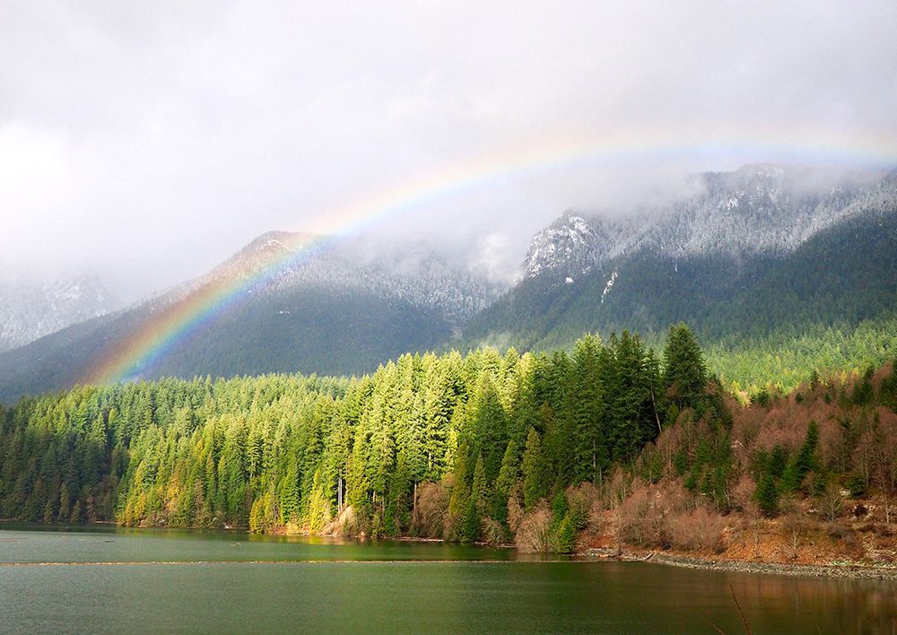 Sunshine After The Rain art print by Gail Peck for $57.95 CAD