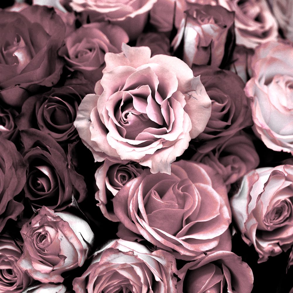 Dark Plum Roses art print by Gail Peck for $57.95 CAD