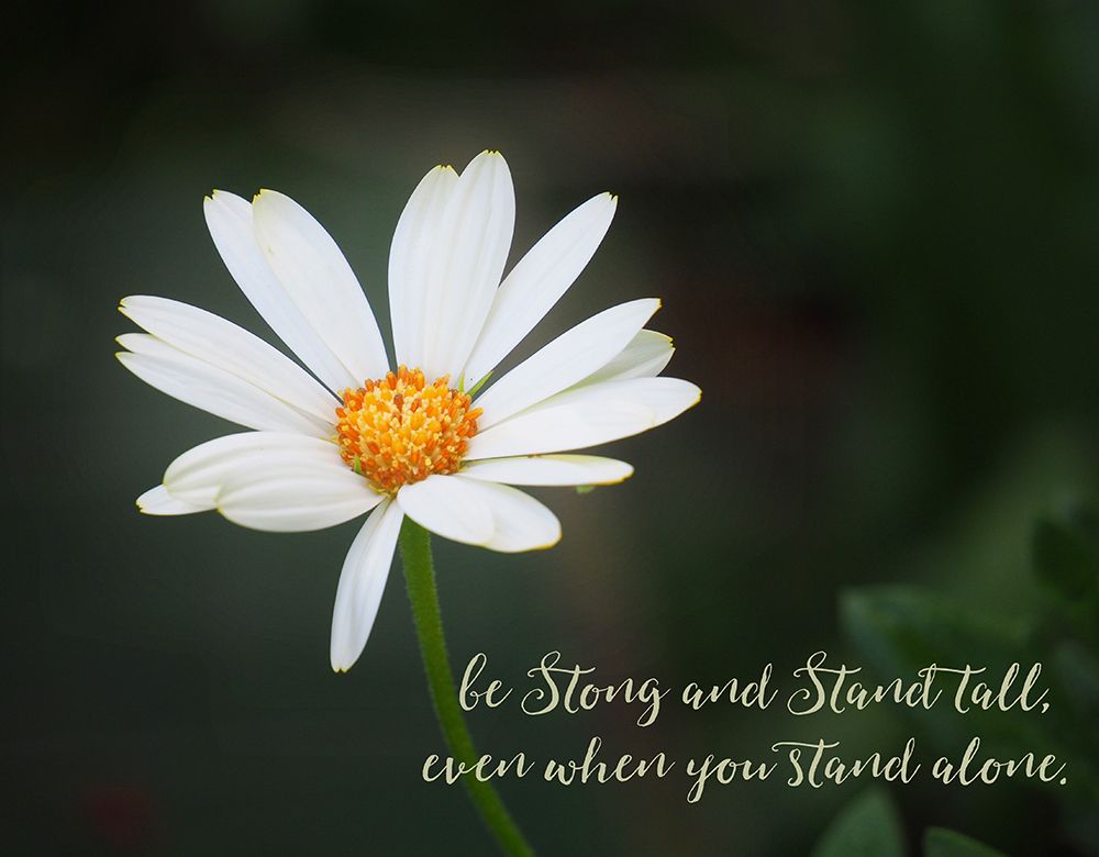 Stand Alone art print by Gail Peck for $57.95 CAD