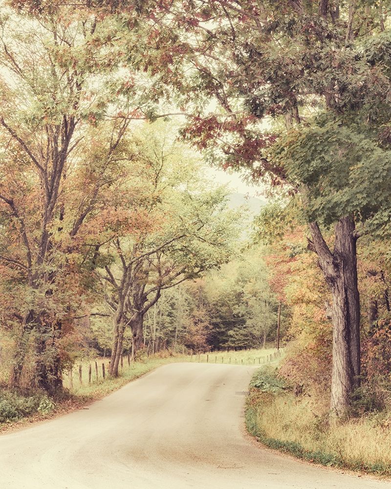 Along The Path art print by Andy Amos for $57.95 CAD