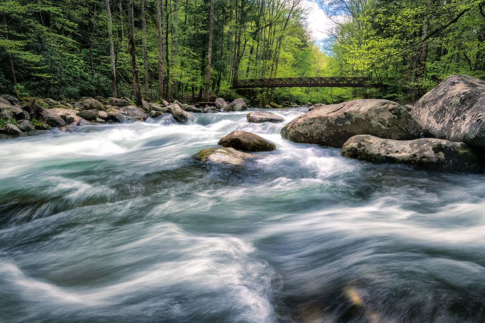 Rocky River Stream art print by Andy Amos for $57.95 CAD