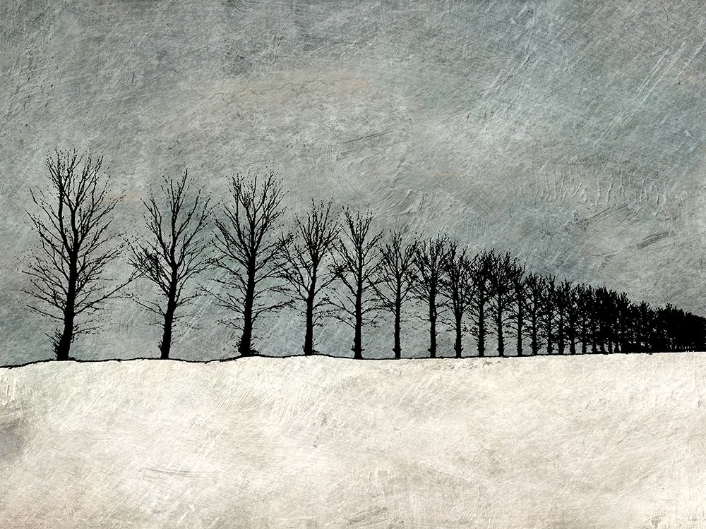 Winter Row art print by Ynon Mabat for $57.95 CAD