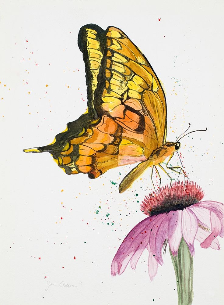 Butterfly Nectar art print by Jan Odum for $57.95 CAD