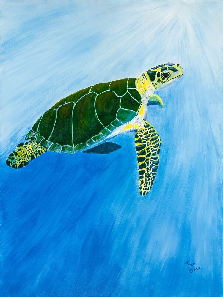 Green Turtle art print by Jan Odum for $57.95 CAD