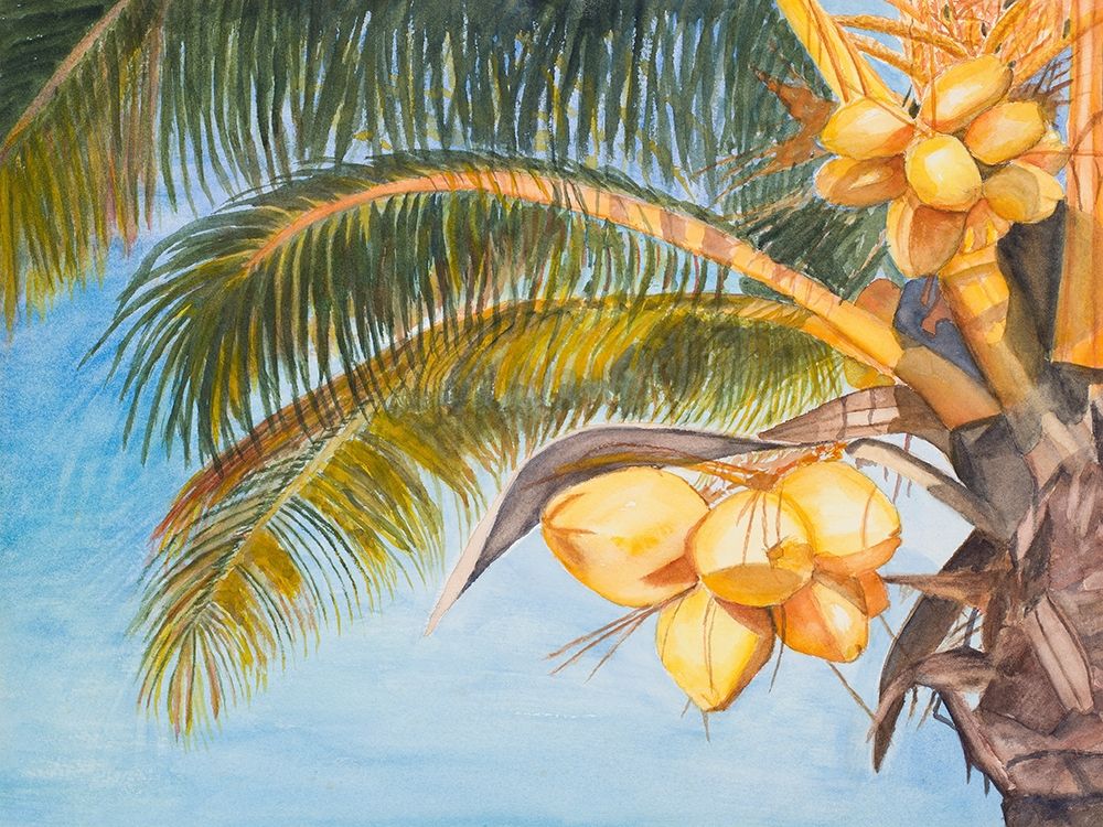 Coconut Palm Trees art print by Jan Odum for $57.95 CAD