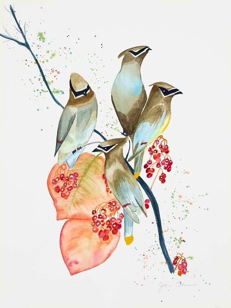Birds on Branch art print by Jan Odum for $57.95 CAD