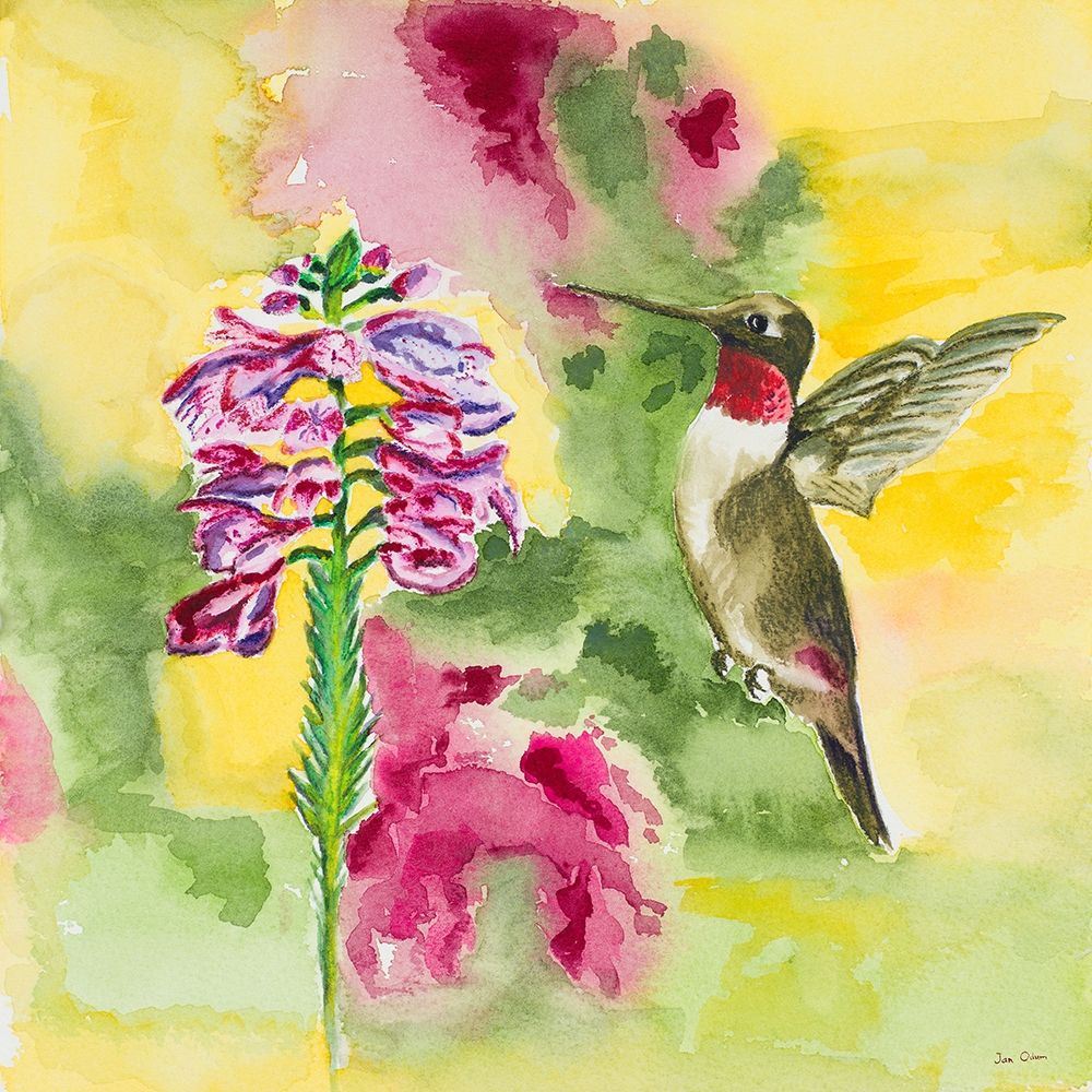 Watercolor Hummingbird art print by Jan Odum for $57.95 CAD