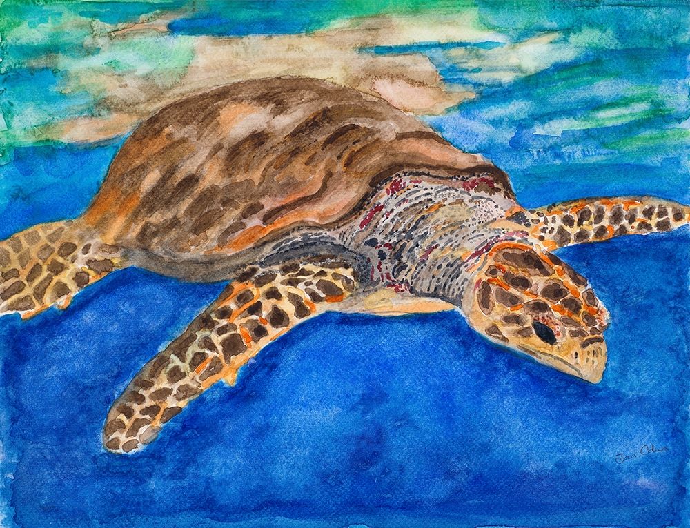 Turtle at Sea art print by Jan Odum for $57.95 CAD