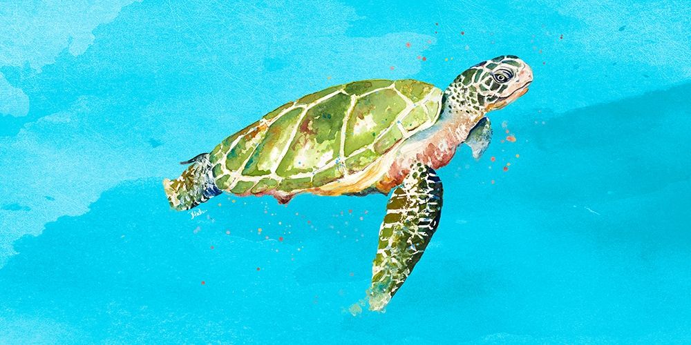 Green Turtle on Light Blue art print by Patricia Pinto for $57.95 CAD