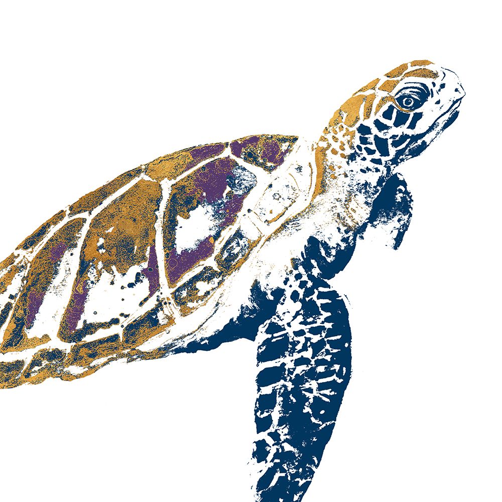 Golden Navy Turtle I art print by Patricia Pinto for $57.95 CAD