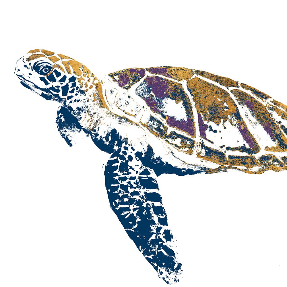 Golden Navy Turtle II art print by Patricia Pinto for $57.95 CAD