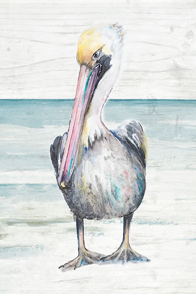 Pelican On The Shore I art print by Patricia Pinto for $57.95 CAD