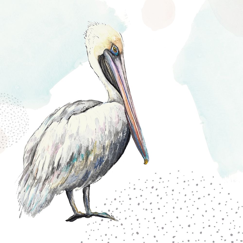 Turquoise Pelican art print by Patricia Pinto for $57.95 CAD