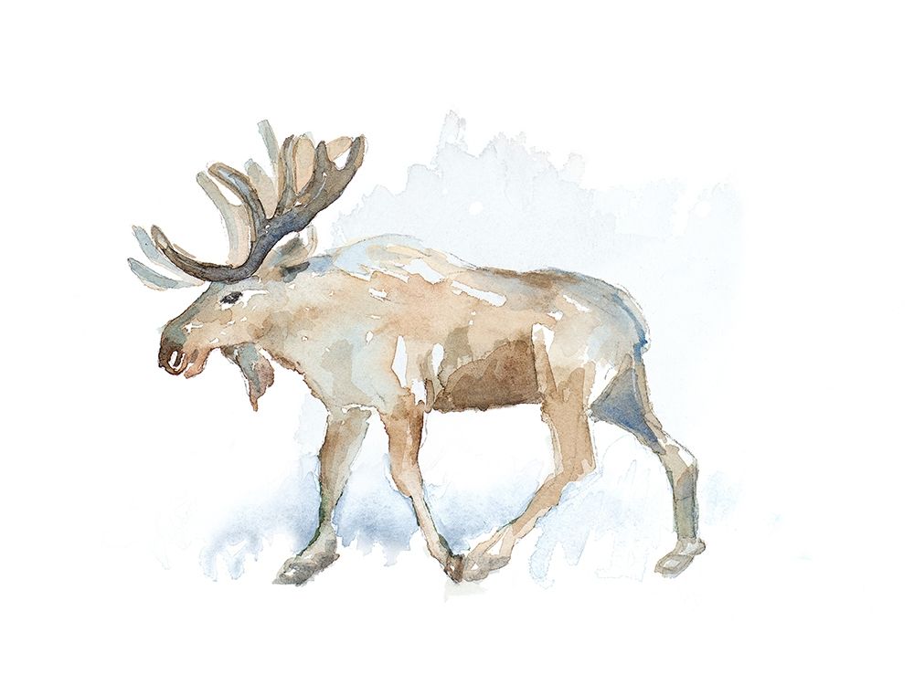 Watercolor Moose art print by Lanie Loreth for $57.95 CAD