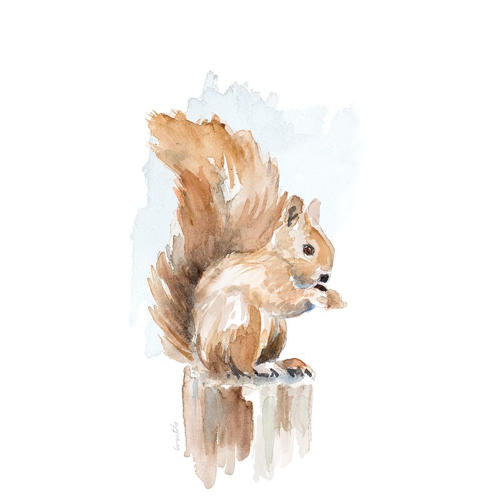 Watercolor Squirrel art print by Lanie Loreth for $57.95 CAD