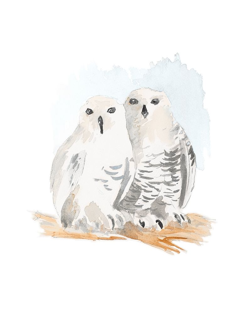 Snowy Owls art print by Lanie Loreth for $57.95 CAD