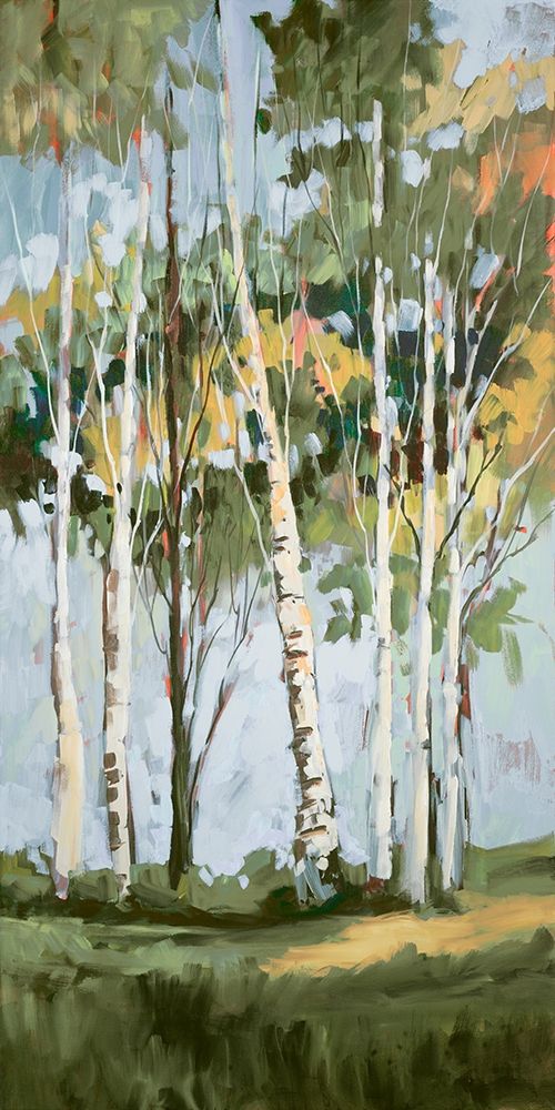 Golden Birch Trees II art print by Jane Slivka for $57.95 CAD