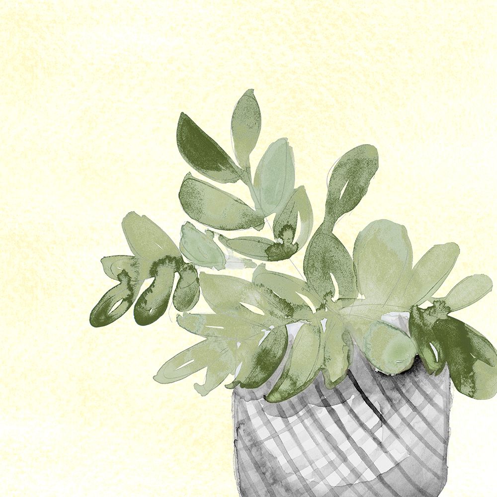 Sunny Day Potted Plant II art print by Lanie Loreth for $57.95 CAD