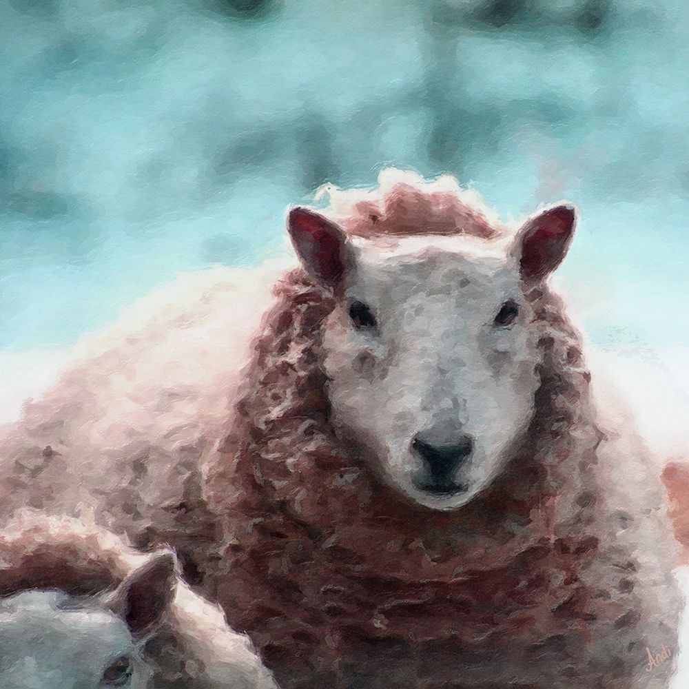 Sheep Square II art print by Andi Metz for $57.95 CAD