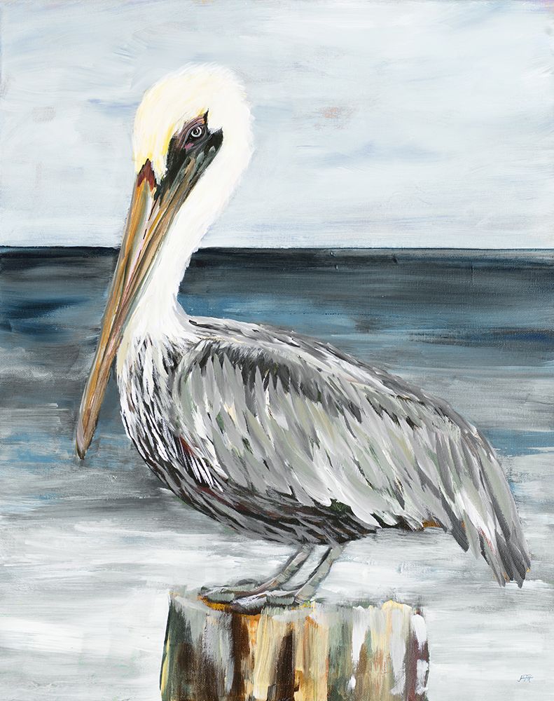Perched Pelican art print by Julie DeRice for $57.95 CAD