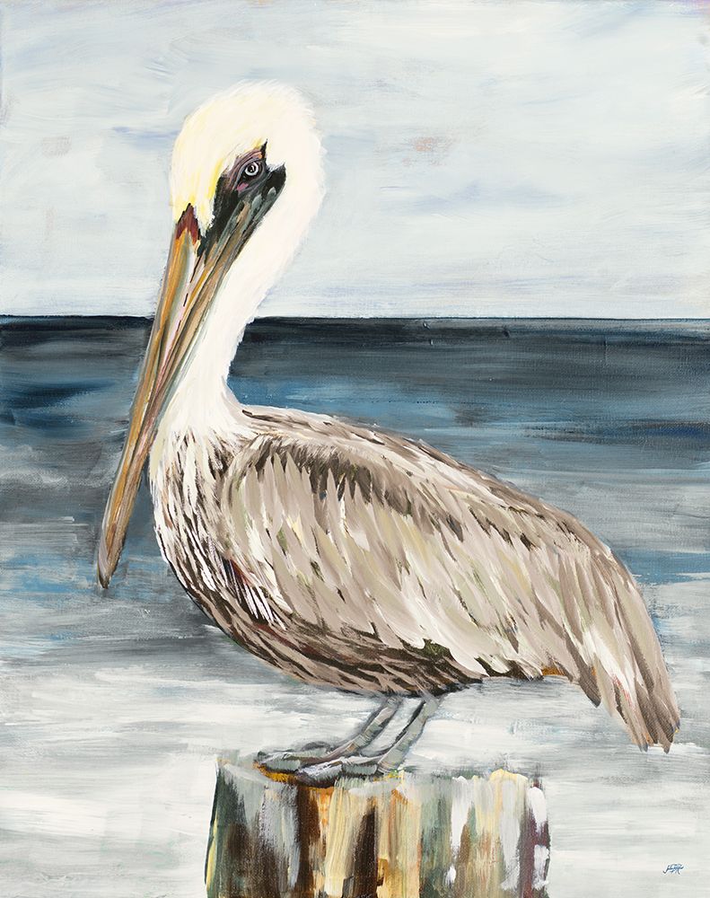 Muted Perched Pelican art print by Julie DeRice for $57.95 CAD