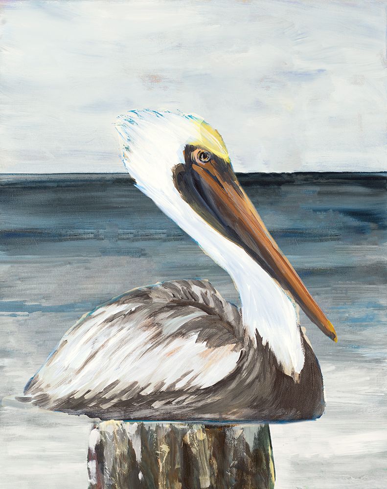 Comfortable Pelican art print by Julie DeRice for $57.95 CAD