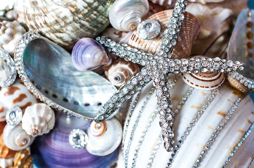 Designer Shells art print by Bill Carson Photography for $57.95 CAD