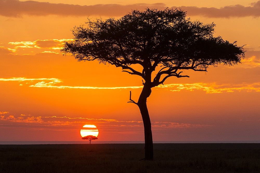 African Sunset II art print by Jimmyz for $57.95 CAD